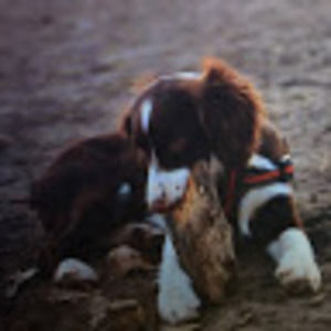 Meet your Posher, Georgiana